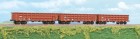 45062 ACME Set of 3 Gondola cars type Eaos ofON RAIL